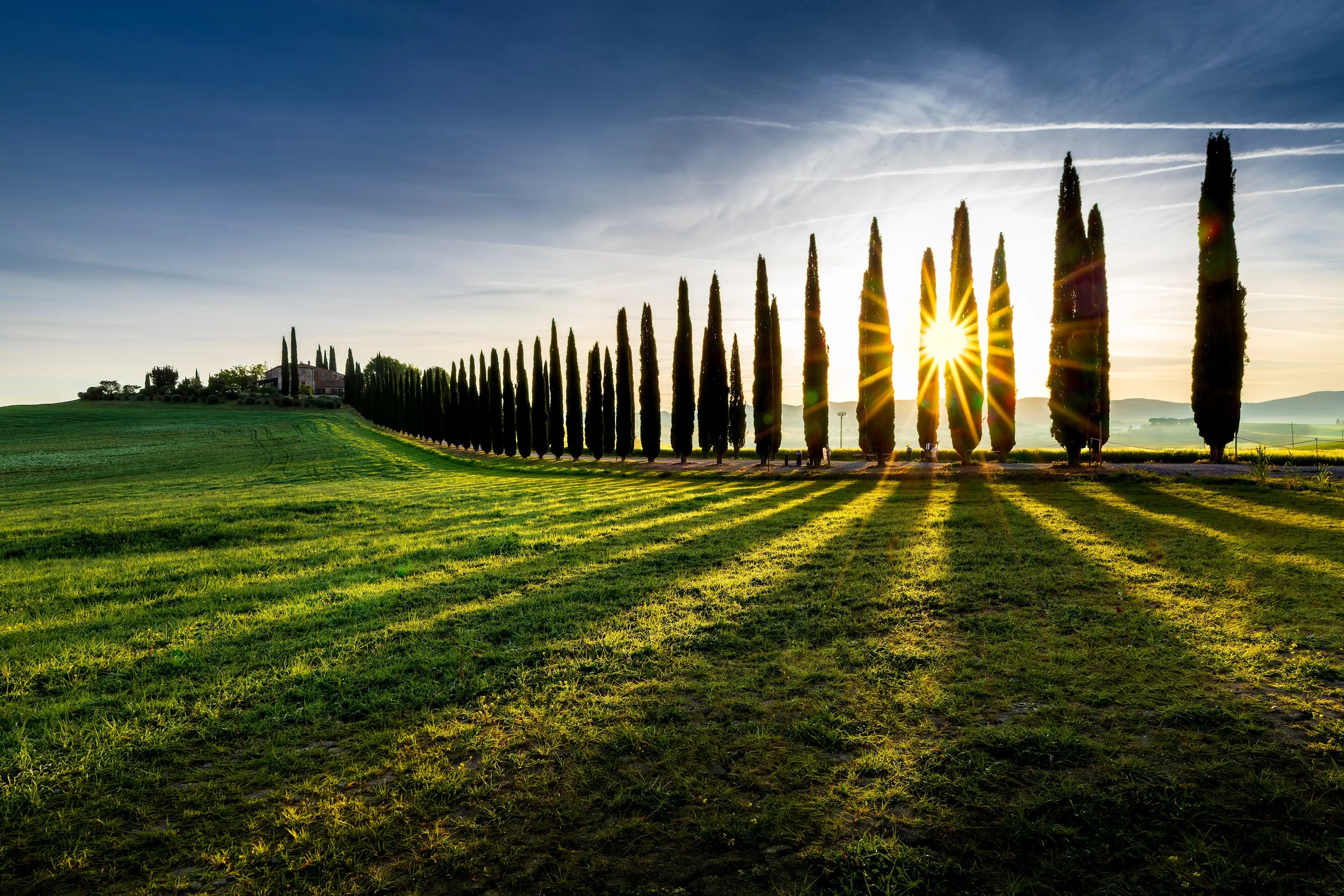 Sunrise over a row of tall, thin cypress trees on a lush green field with a distant house and mountains in the background.