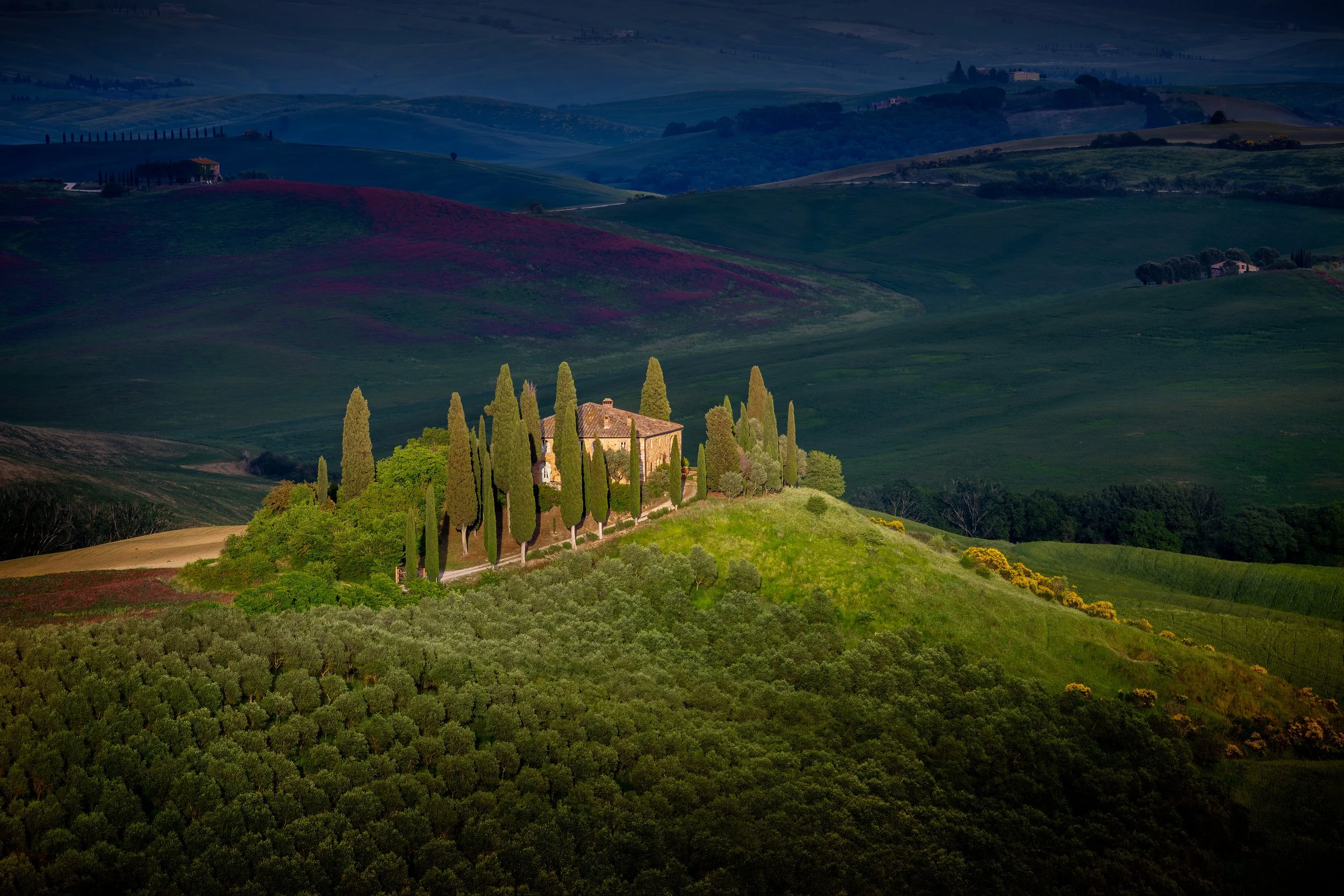 A scenic landscape of rolling hills covered in vineyards and greenery, featuring a stone building with tall cypress trees in the foreground, capturing the essence of Tuscany.