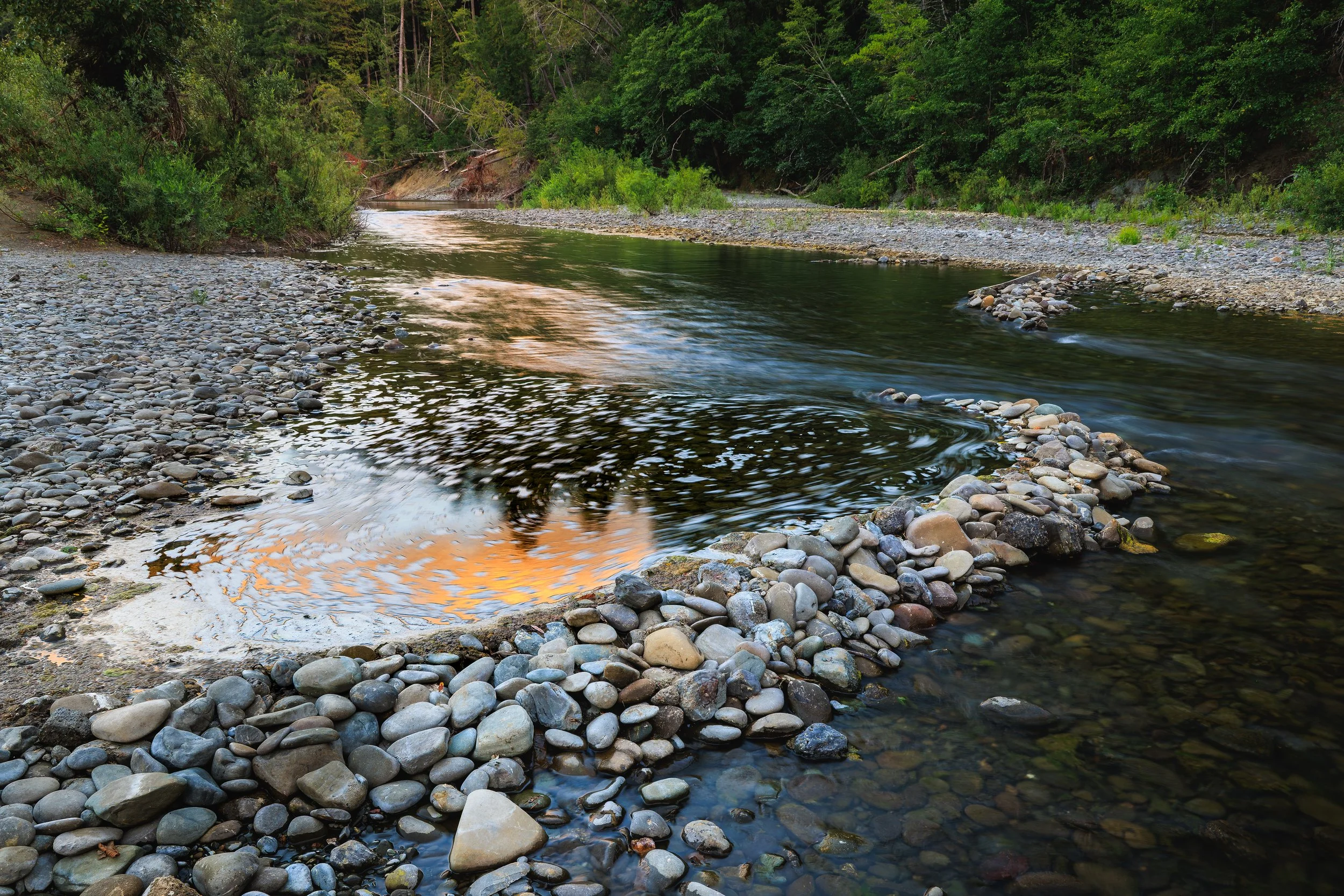 A creek with rocks and pebbles along the bank, surrounded by green trees and foliage, with some fallen trees in the background.