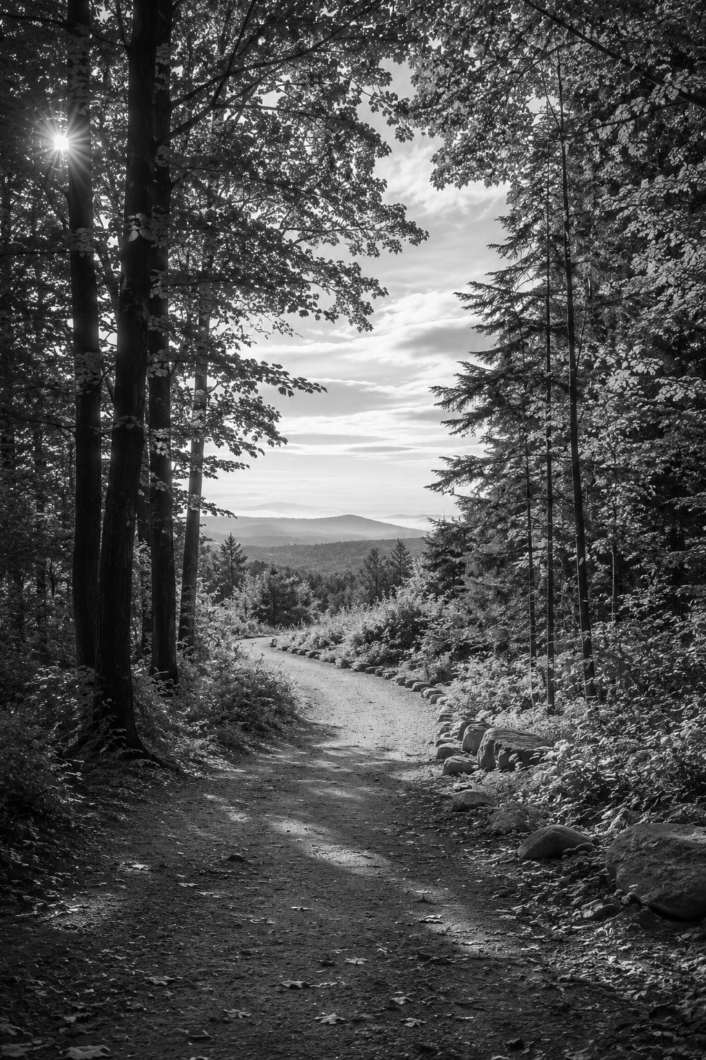 A black and white photo of a winding forest trail with tall trees on both sides, rocks lining the path, and mountains in the distance under a partly cloudy sky.