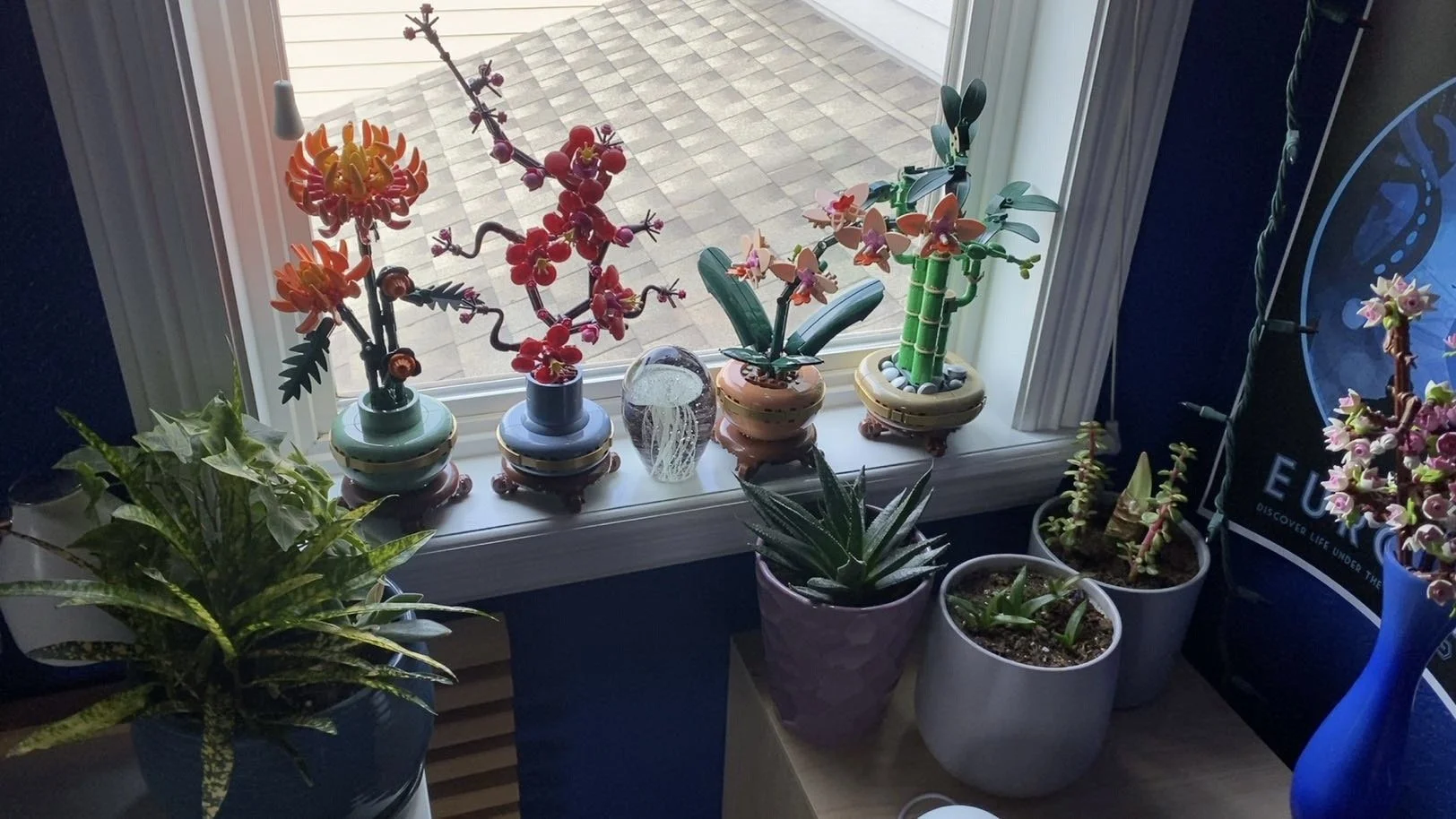 Plant Corner old
