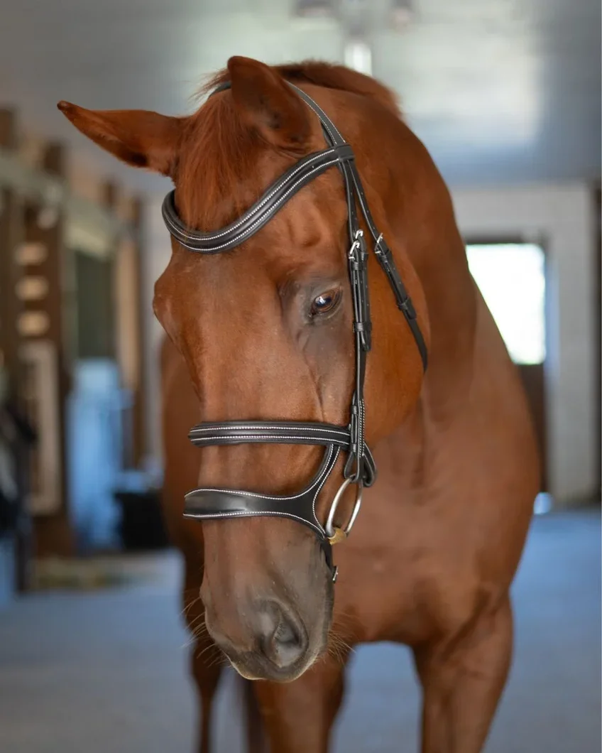Correct Connect Double Noseband Bridle with White Stitching