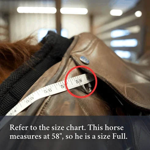 3-in-1_Training_Breastplate_Measurement_2.webp