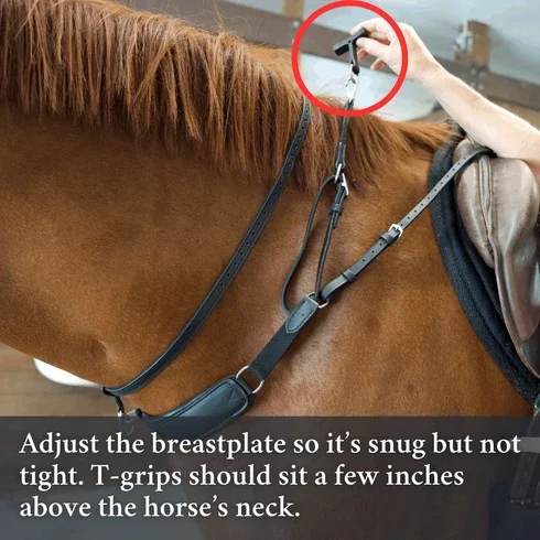 3-in-1_Training_Breastplate_Measurement_3.webp