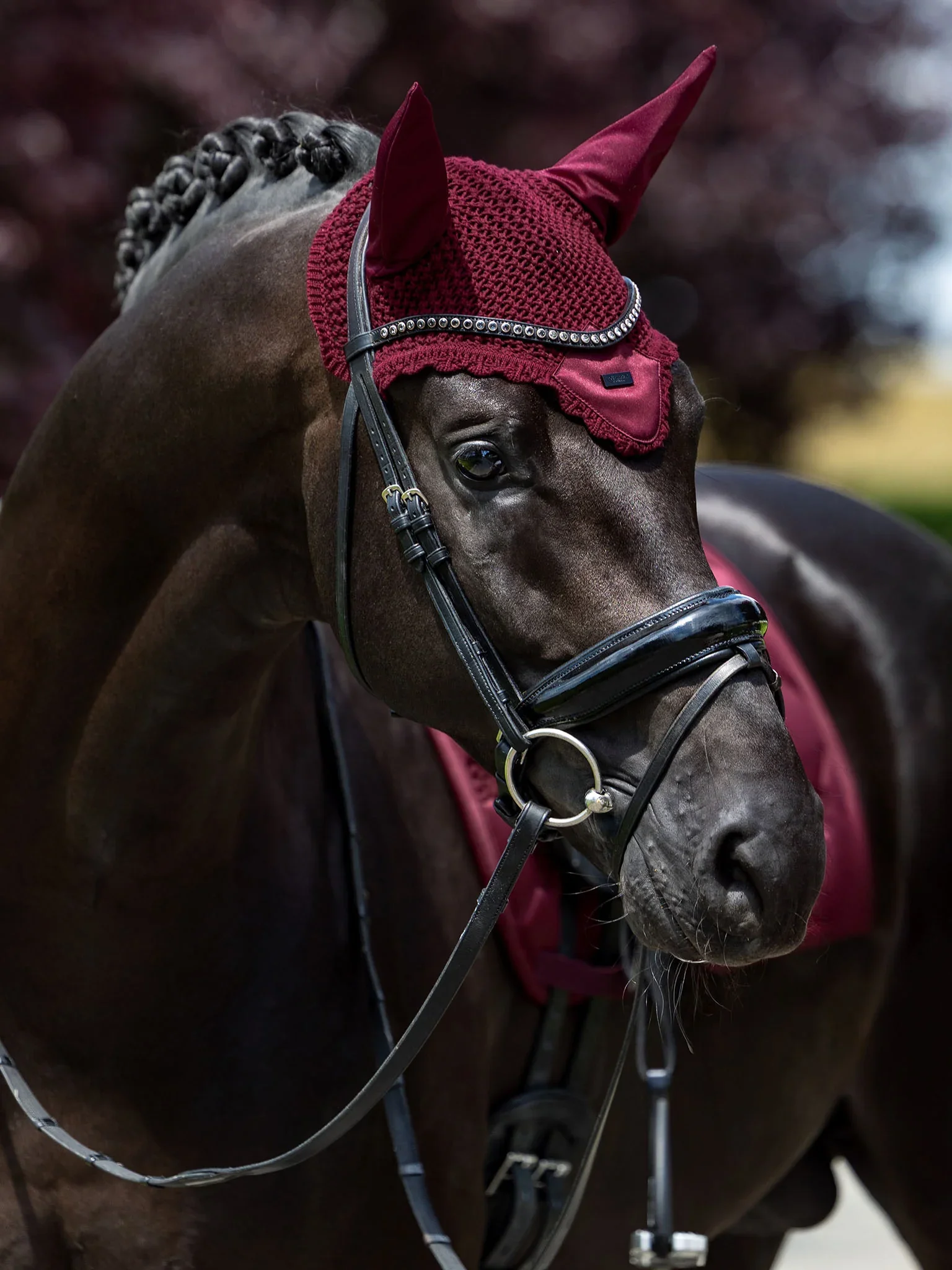 Equestrian Stockholm Merlot Ear Bonnet Satin Full