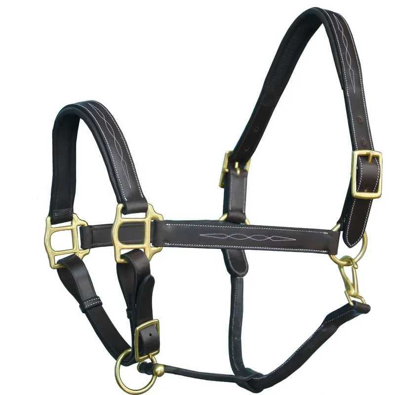 ExionPro Fancy Stitched Halter with Brass Hardware