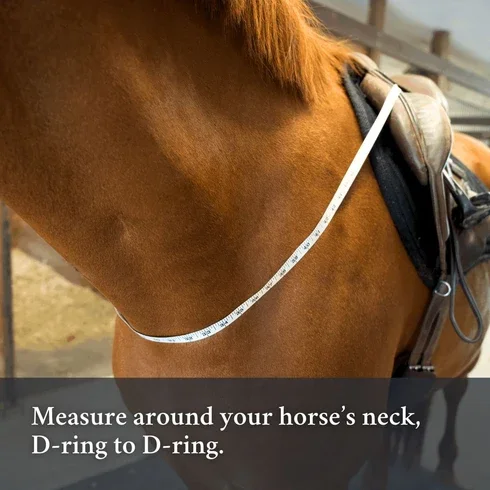 3-in-1_Training_Breastplate_Measurement_1.webp