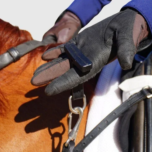 3-in-1_Training_Breastplate_Brown_Horse_3.webp