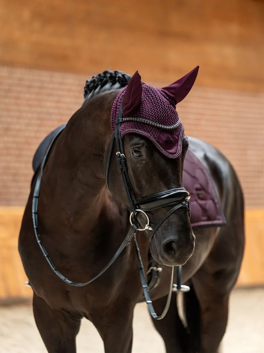 Crystal_Mauve_Wine_SaddlePad_Dressage_623A3984e_1536x2048_9a20a843-0307-4251-bff1-f12bbd633de1.webp