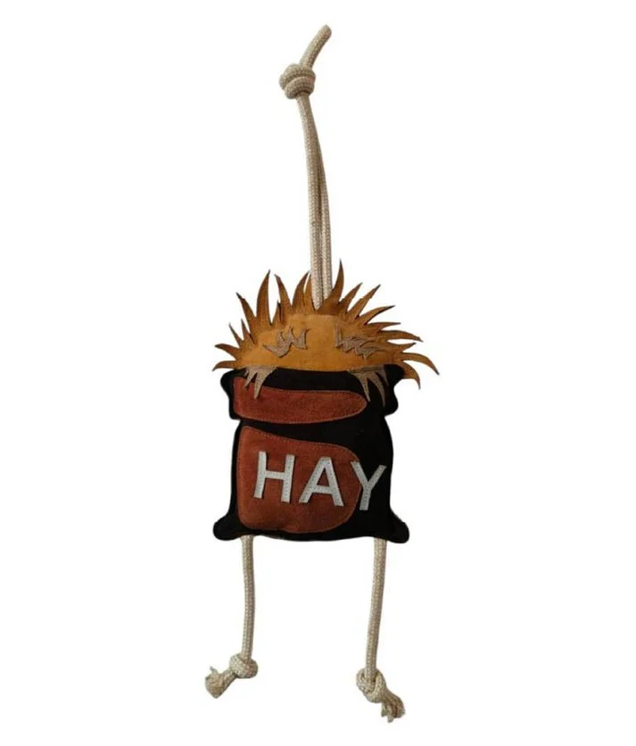 Ovation® Hay There Horse Toy