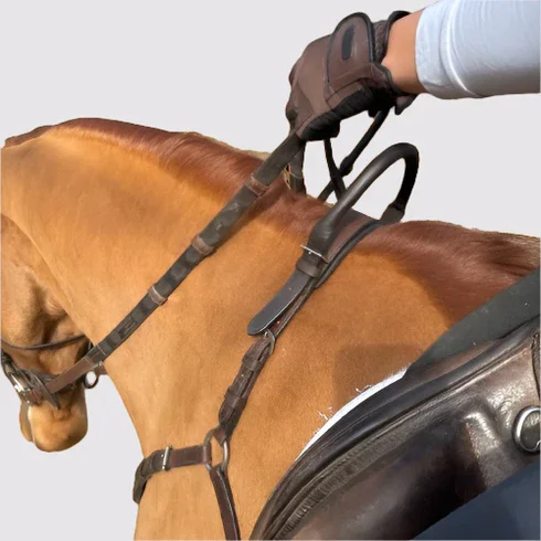 Free_Motion_Breastpalte_Safety_4-removebg-preview.webp