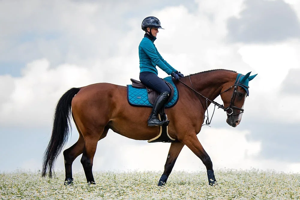 aurora-blues-jumping-saddle-pad-hoppschabrak-springschabrack-spring-zadeldekje-on2.webp