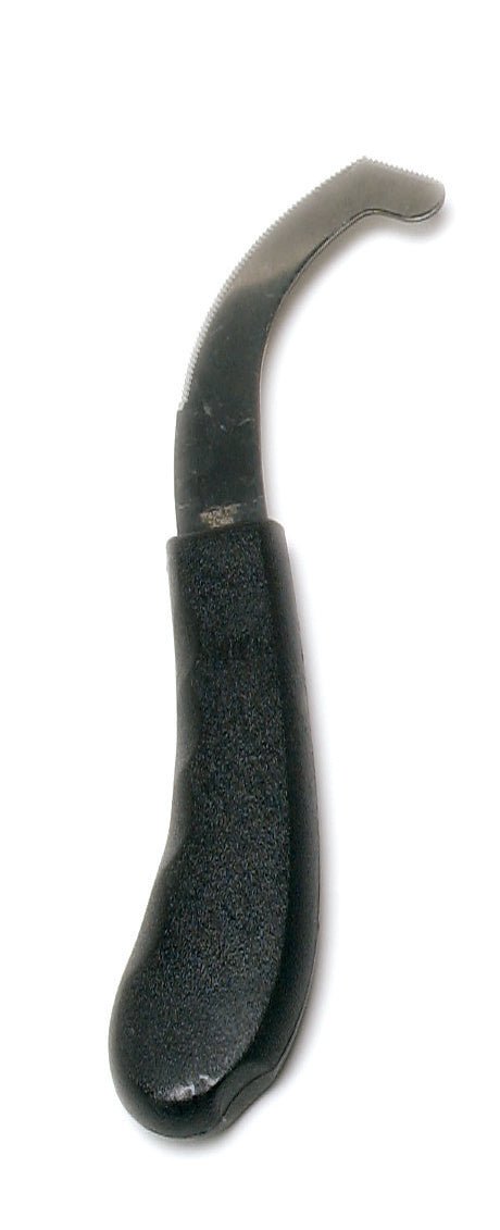 Bot Egg Knife with Plastic Handle