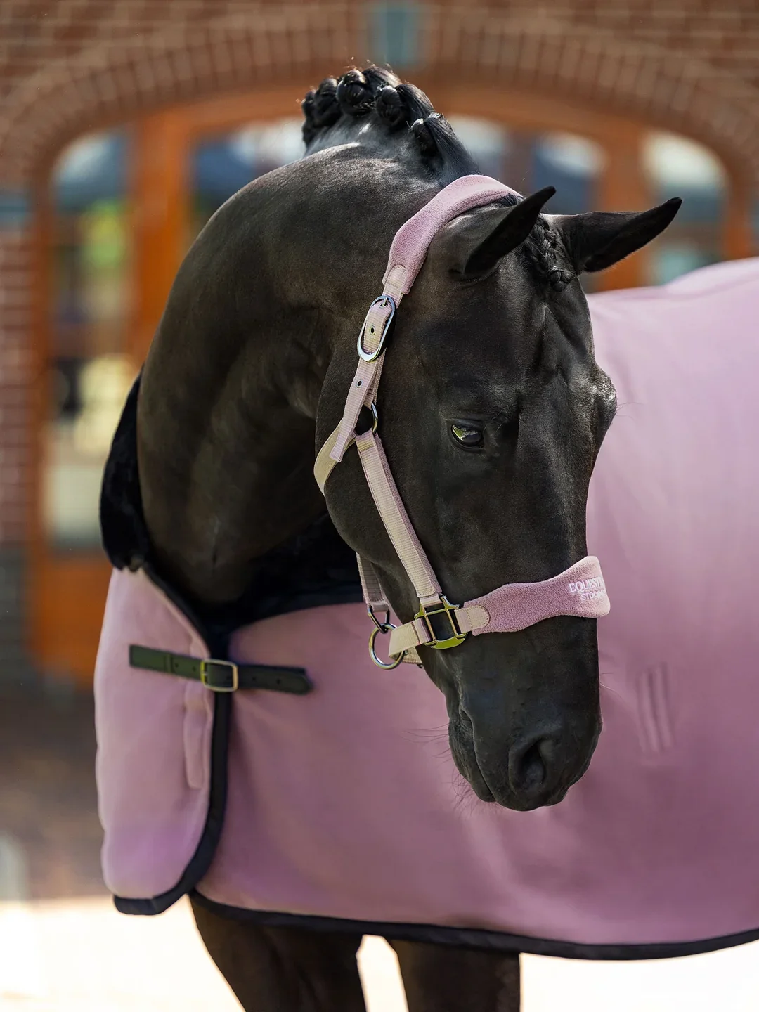 Blush_Anatomic_Fleece_Halter_623A0798_1536x2048px_1.webp