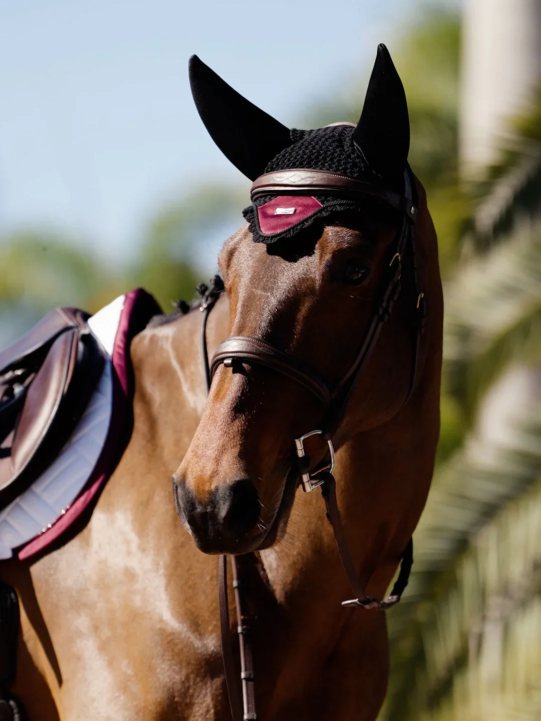 Merlot_Soundless_Ear_Bonnet_Sequence-01205.webp