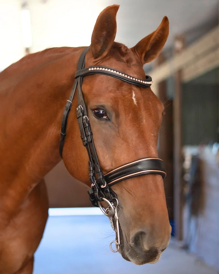 Double Bridle with Crystal Browband, Gold Padding and Reins Full/Black