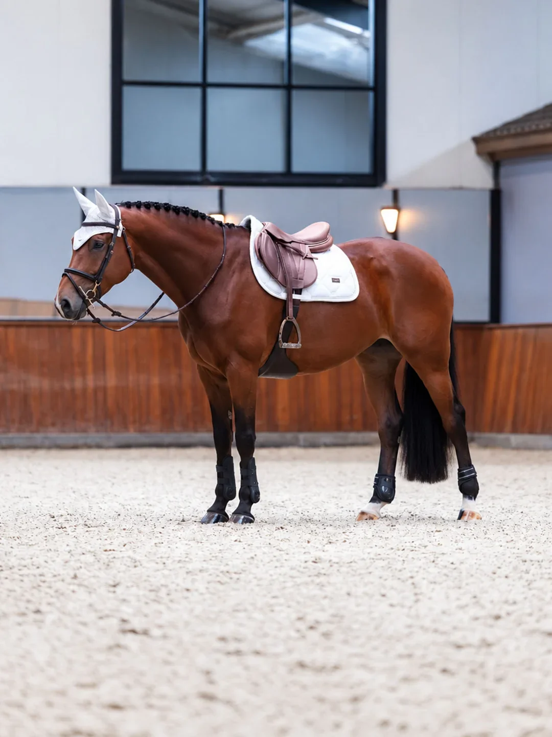 crystal-white-jump-saddle-pad_1536x2048_8b906128-0a01-41f5-abdc-79a1e1968cce.webp
