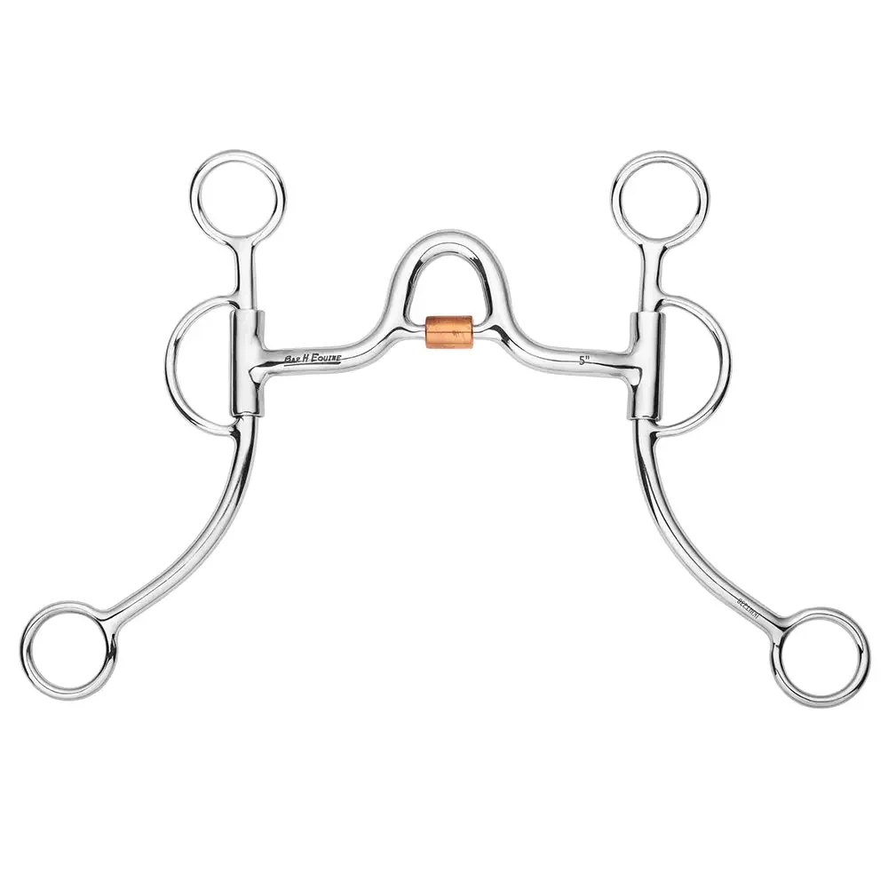Bar H Equine Western Argentine Shank Bit with Port & Copper Roller