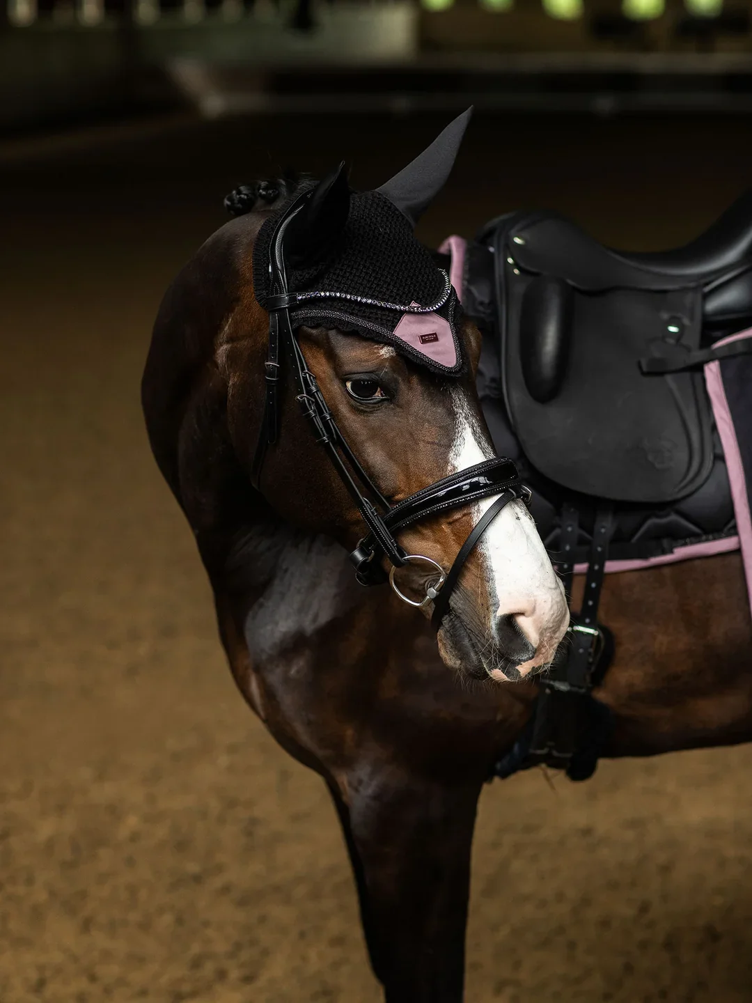 Black_Blush_Ear_Bonnet_Black_Blush_Dressage_Saddle_pad_MG_8956_e_1536x2048px.webp