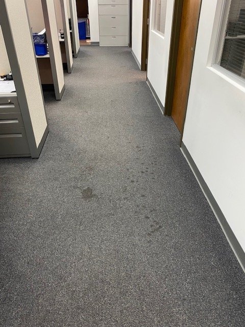 Office corridor with gray carpet, water stains visible on the floor, and office cubicles on the left side.