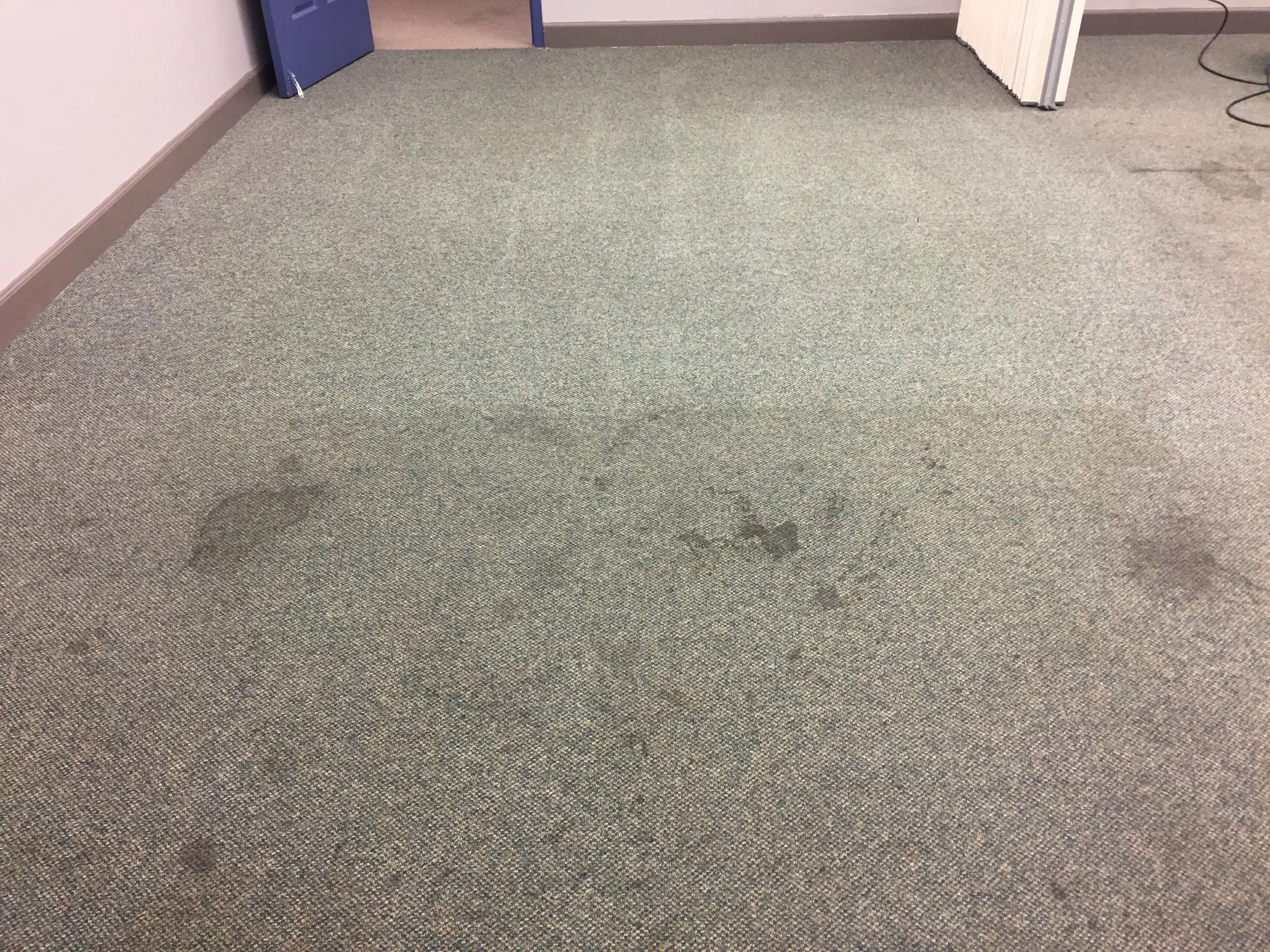 Gray carpeted floor with a stain and some marks, next to a cream-colored wall, an open blue door, and partially visible office furniture and cords.