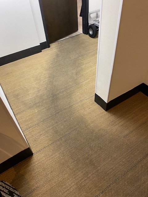 Carpeted floor in a hallway near elevator doors, with a cart and a box in the background.