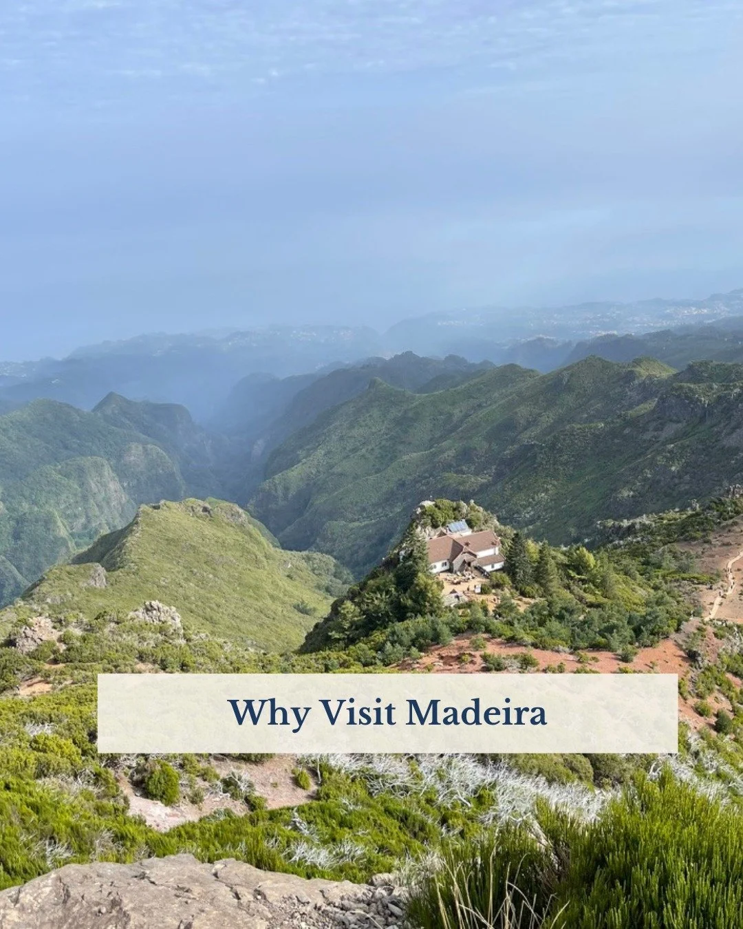 Madeira combines dramatic landscapes, ocean views, charming towns, and excellent food in one destination.

In 2023, a cheap airfare alert to Madeira inspired me to take a trip there on a whim. It's often overlooked in favor of mainland Europe, but it