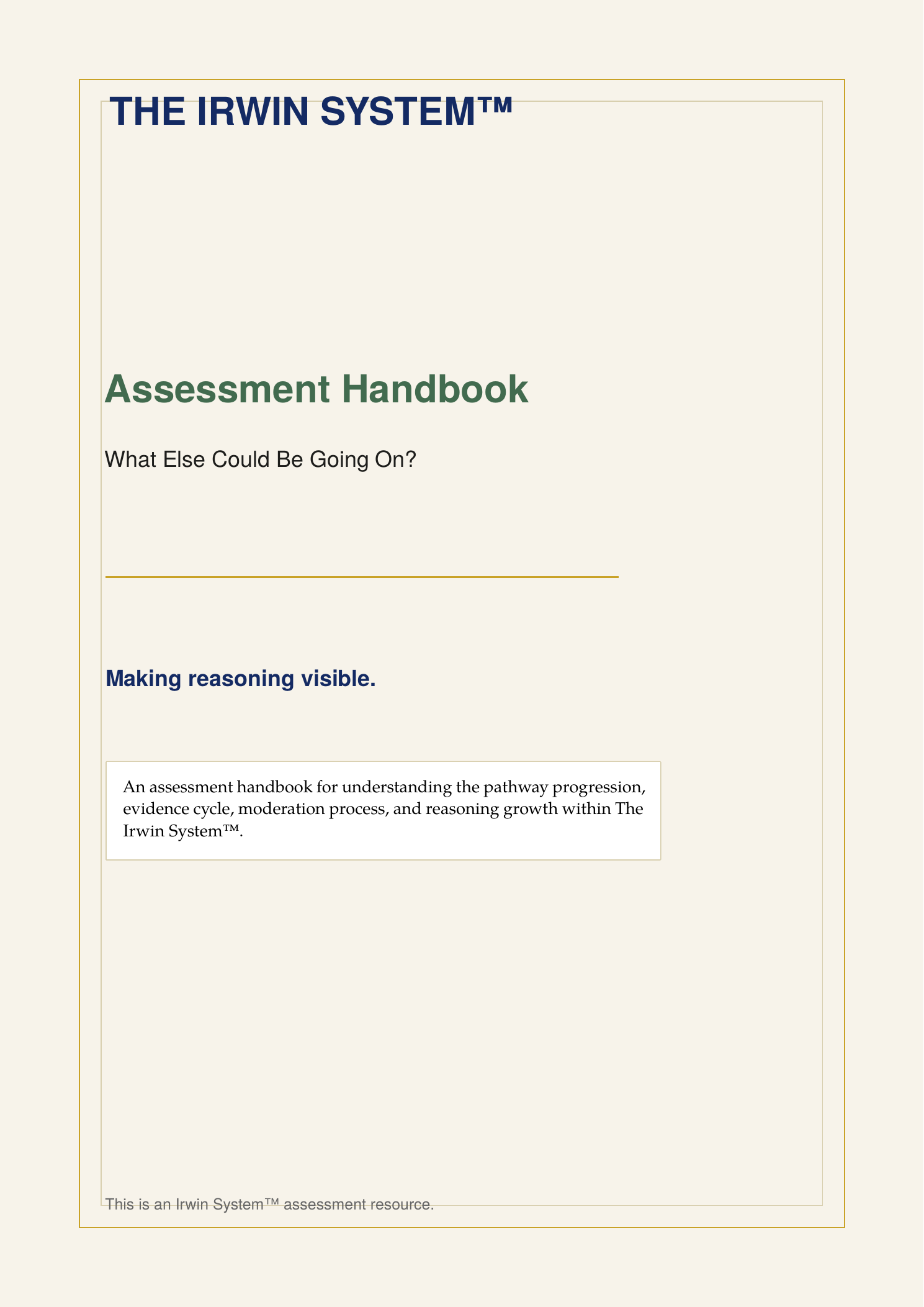 What Else Could Be Going On? — Assessment Collection | Single-School Licence