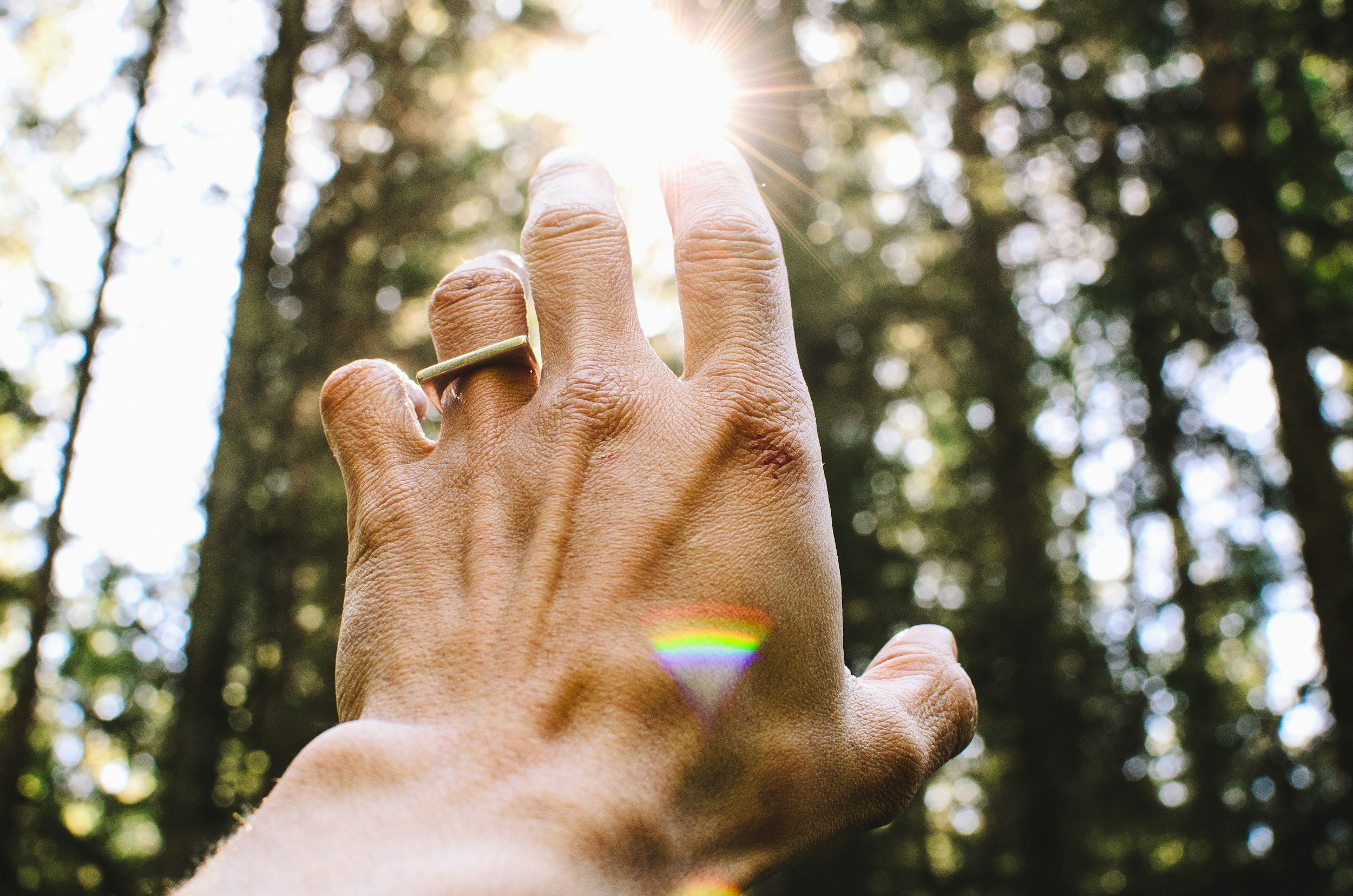 A person's hand reaching towards the sun with the sunlight through trees in the background, creating a bokeh effect.