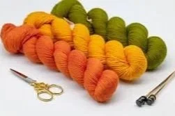 Colorful skeins of yarn arranged in a row with a pair of scissors and knitting needles nearby.
