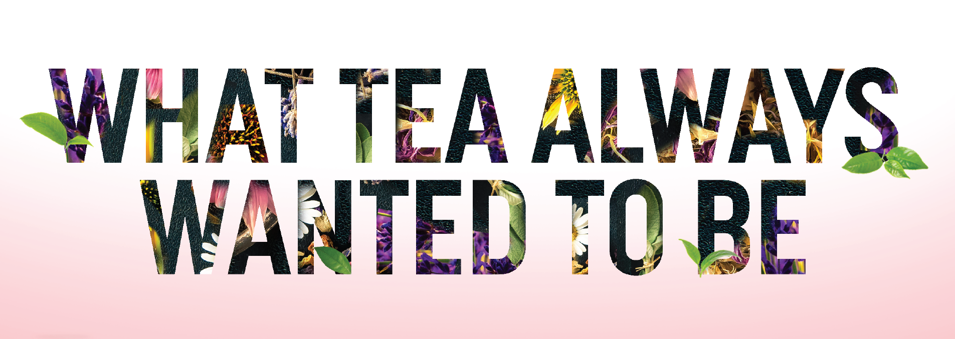 Teatopia-Website-WhatTeaAlwaysWantedToBe-001.png