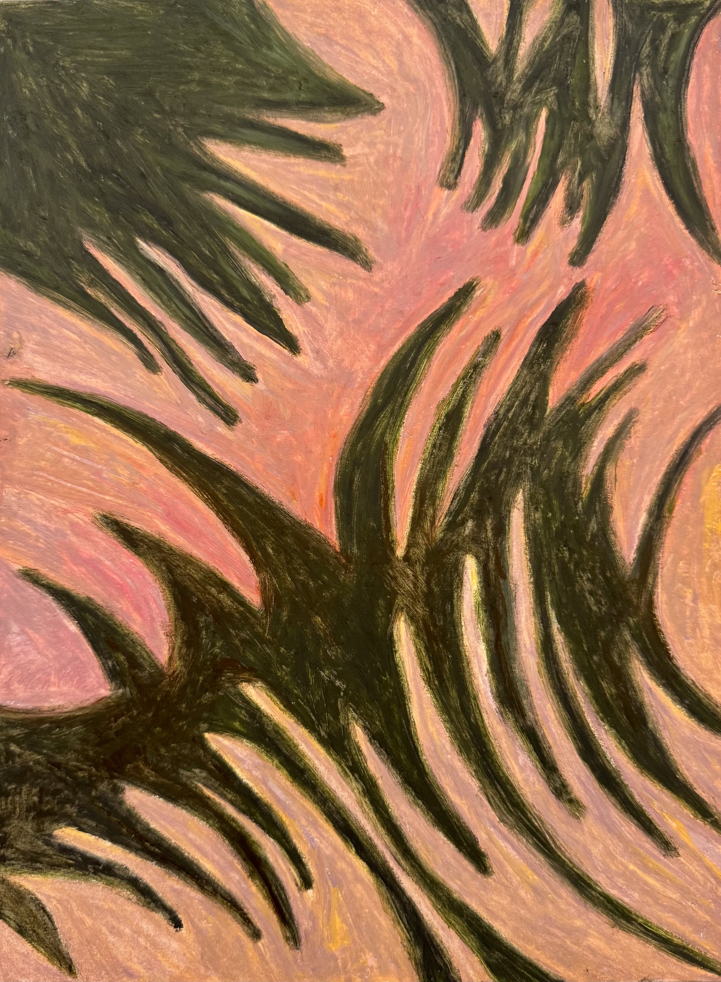 Sunset Palms