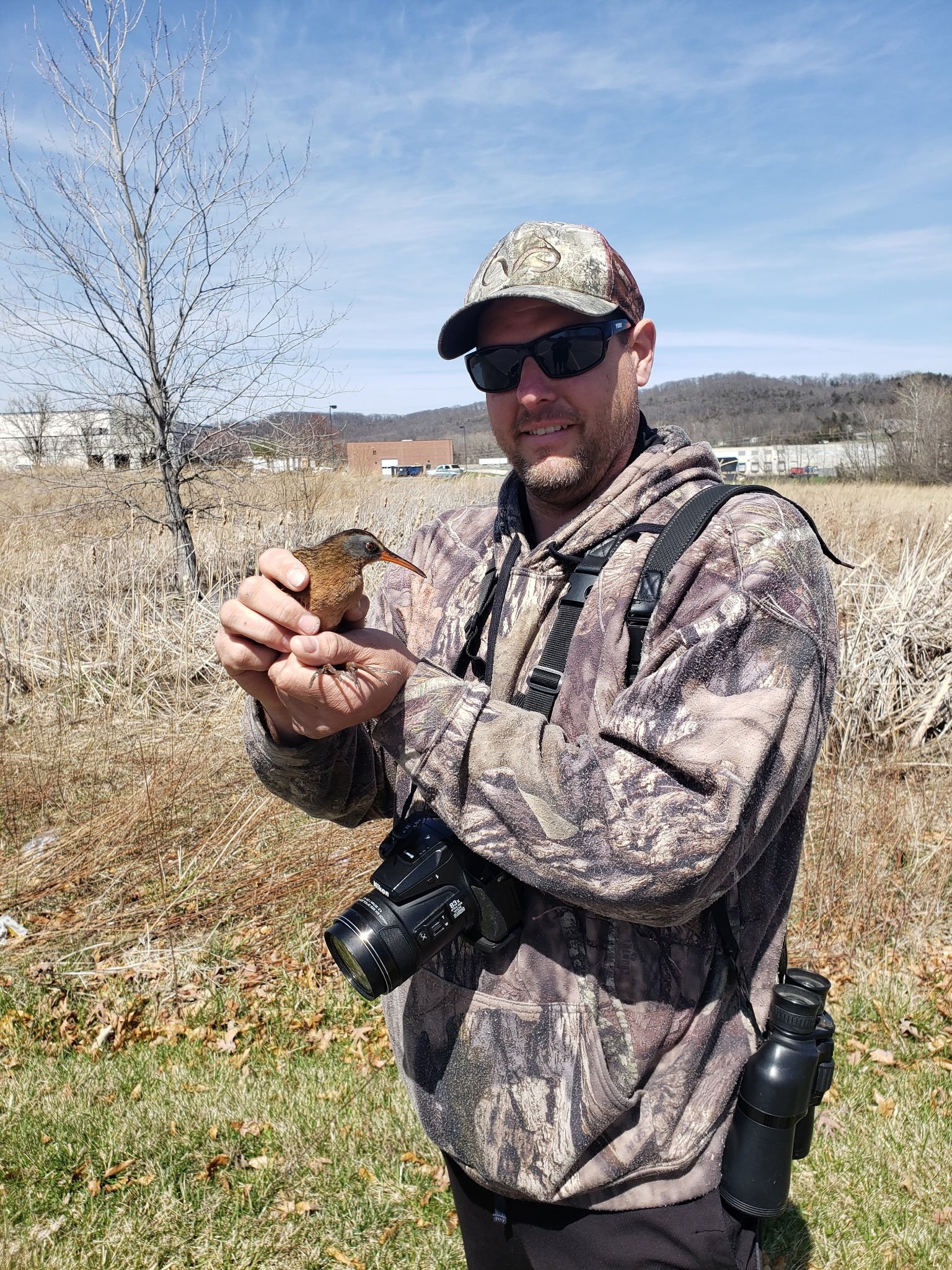 A man in camouflage clothing holding a Virgina Rail bird outdoors on a sunny day, with a camera hanging around his neck.