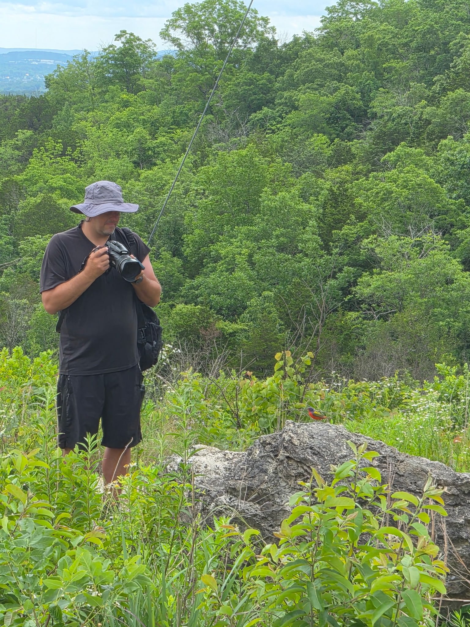 James Bolte with Painted Bunting