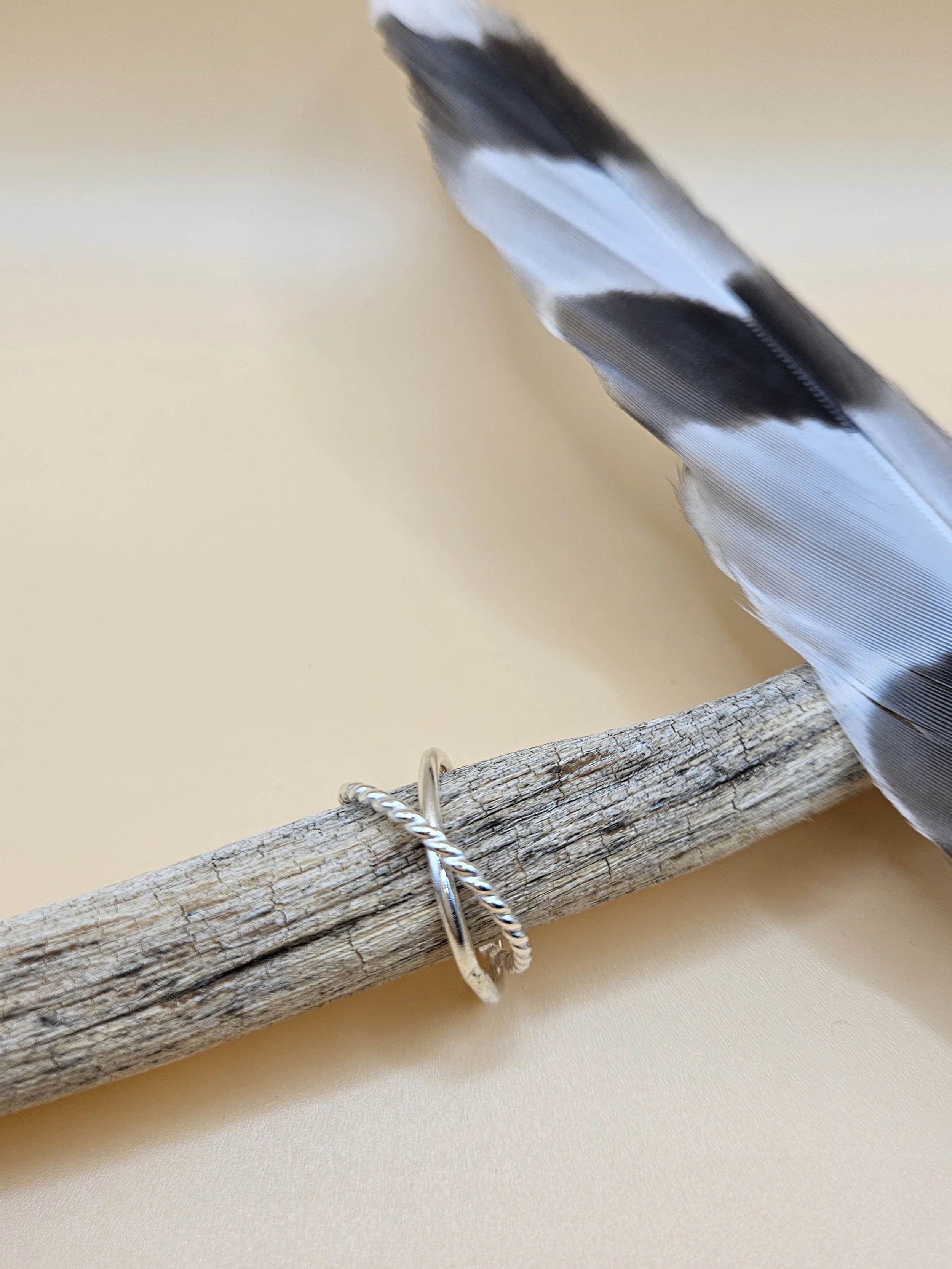 Sterling silver rolling ring with one smooth high polish band and one twisted rope texture band. Size 6.