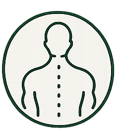 Outline of a human back with dashed line down the center and three dots on the neck area inside a circular border.