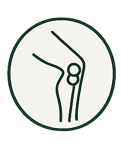 Diagram of a knee joint showing bones, ligaments, and cartilage.