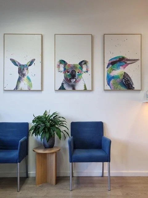 Three framed animal portraits on a wall featuring a deer, a koala, and a bird, with two blue chairs and a plant on a small table underneath.