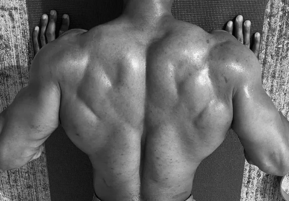 Back Exercises