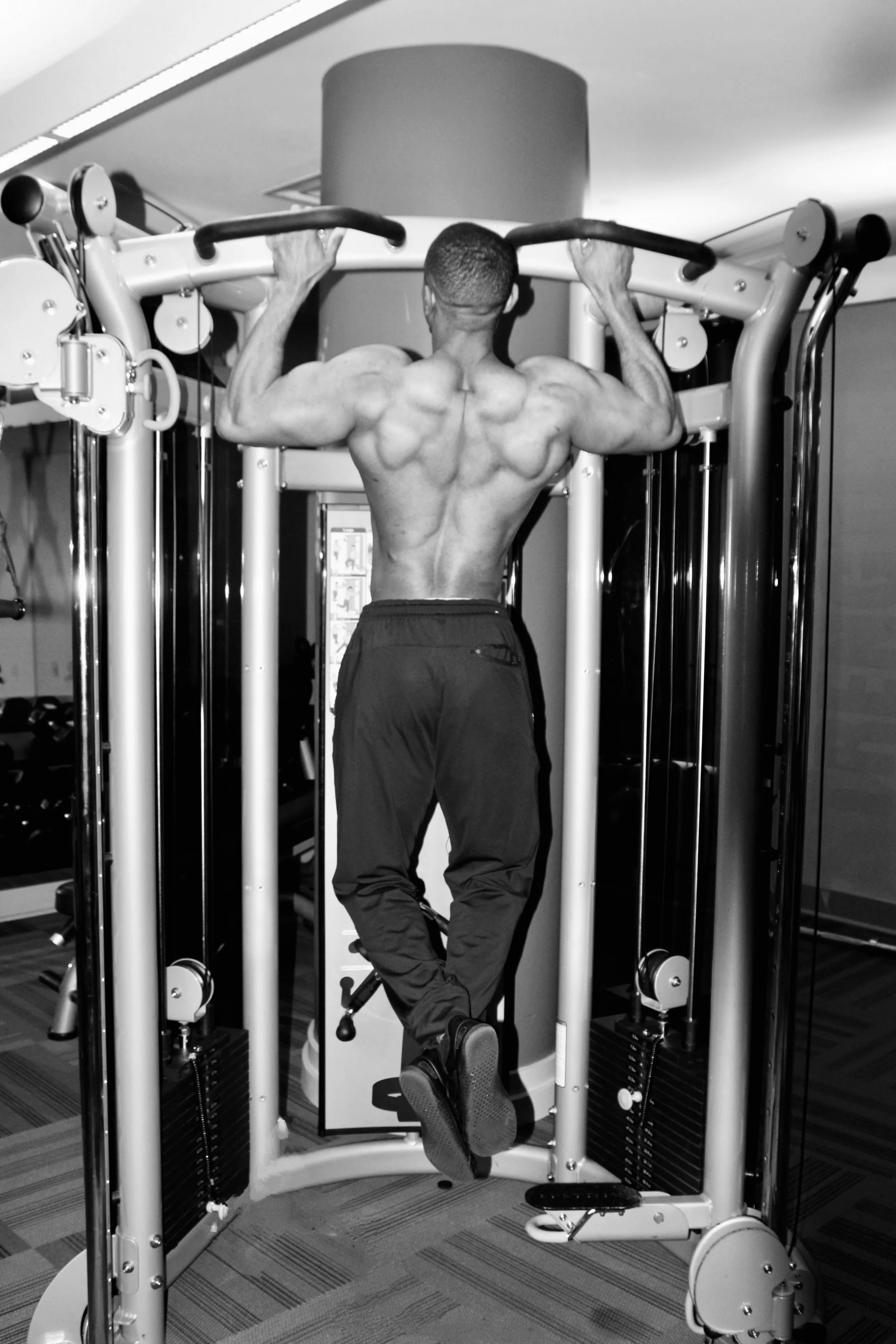 Back Exercises