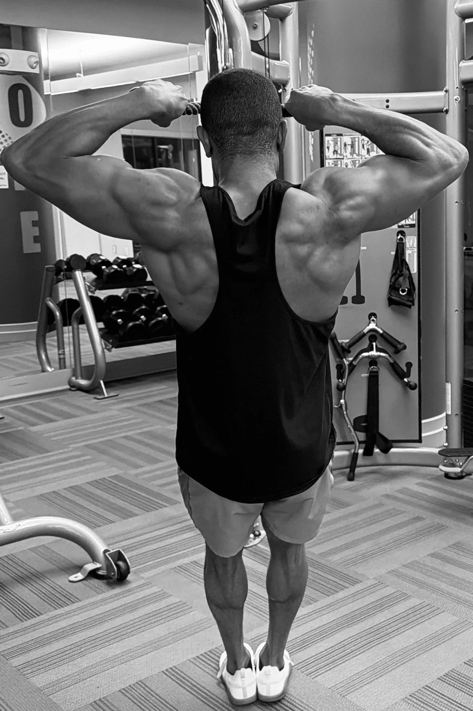 Shoulder Exercises