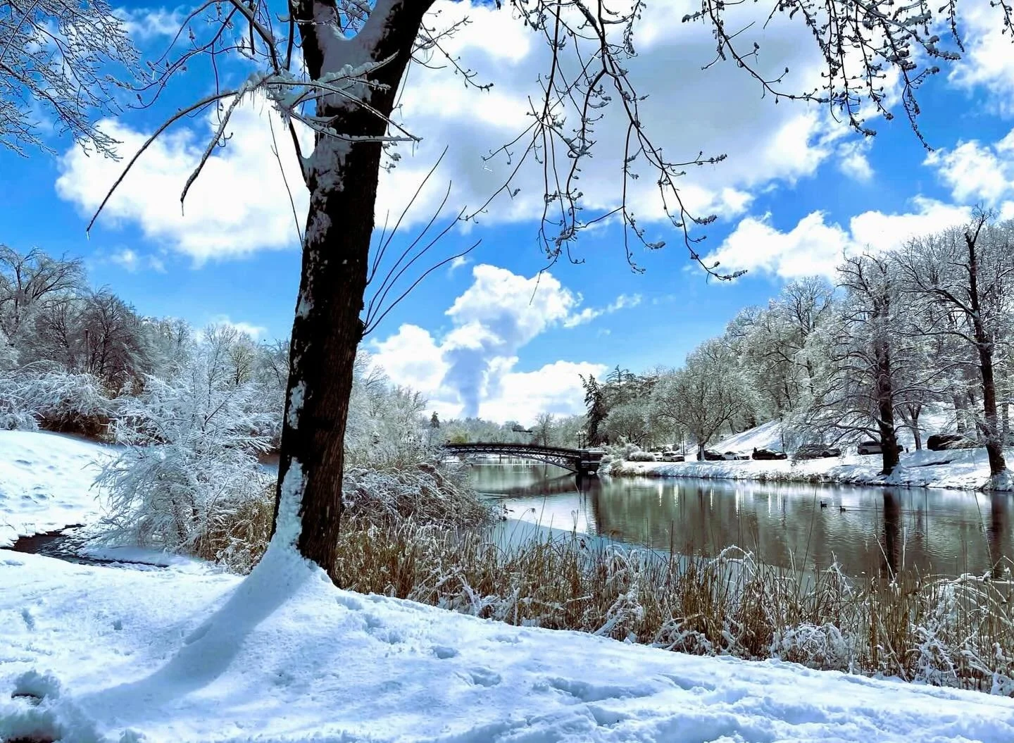 With the bitter cold letting up (for now!), come out enjoy the Park&rsquo;s beautiful winter scenery. 

With the new year, it&rsquo;s a great time to reflect on values and what matters most. The Washington Park Conservancy&rsquo;s mission is to prese