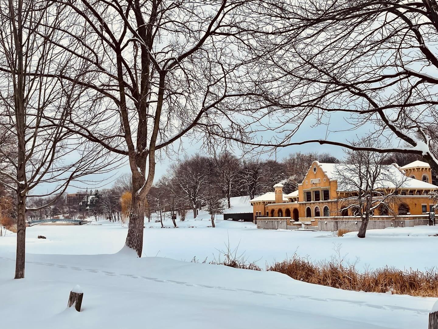 bundle up and enjoy the snow day at the Park! just make sure to stay safe out there. ❄️☃️