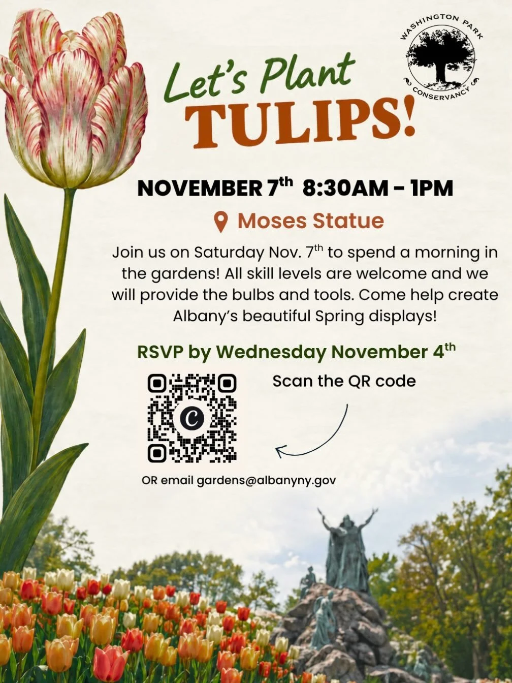 It&rsquo;s that time of year again! Come be a part of the beautiful Washington Park Tulip beds by volunteering on planting day! 🌷