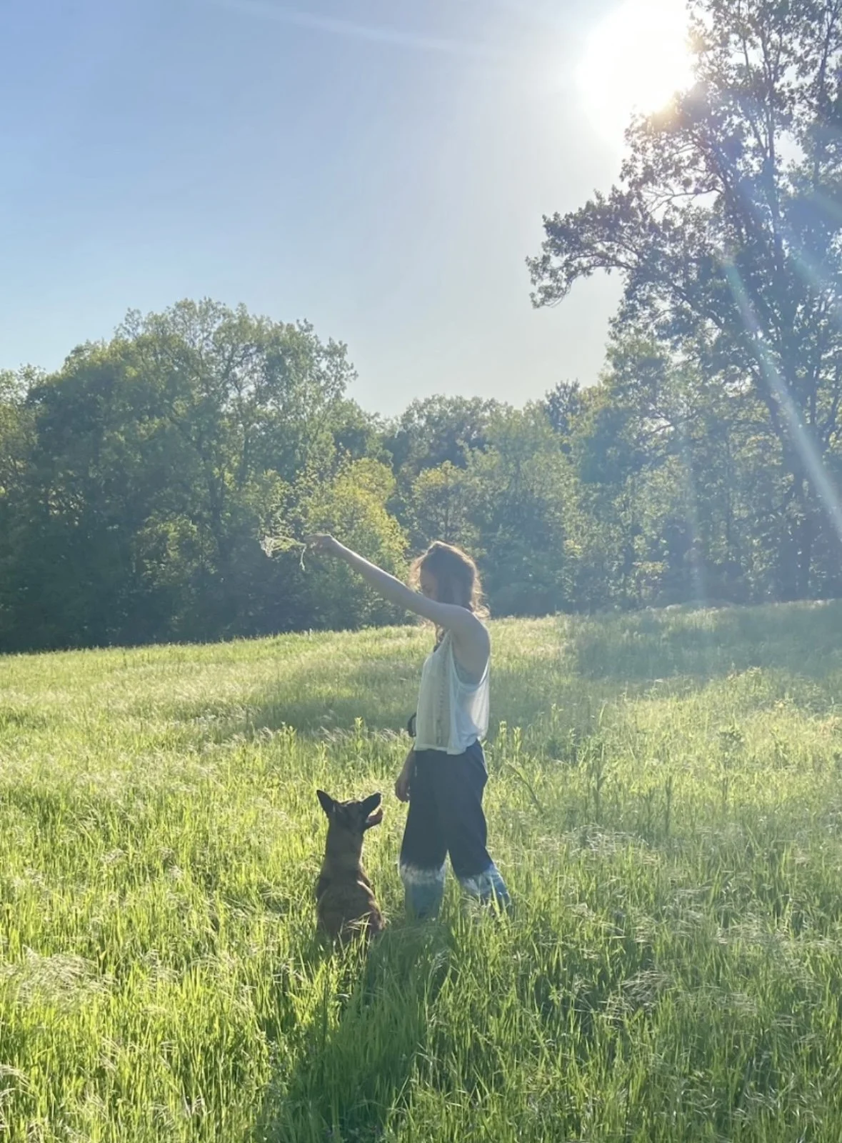 A person standing in a grassy field with a small dog sitting nearby, both facing the sunlight on a bright, sunny day with trees in the background.