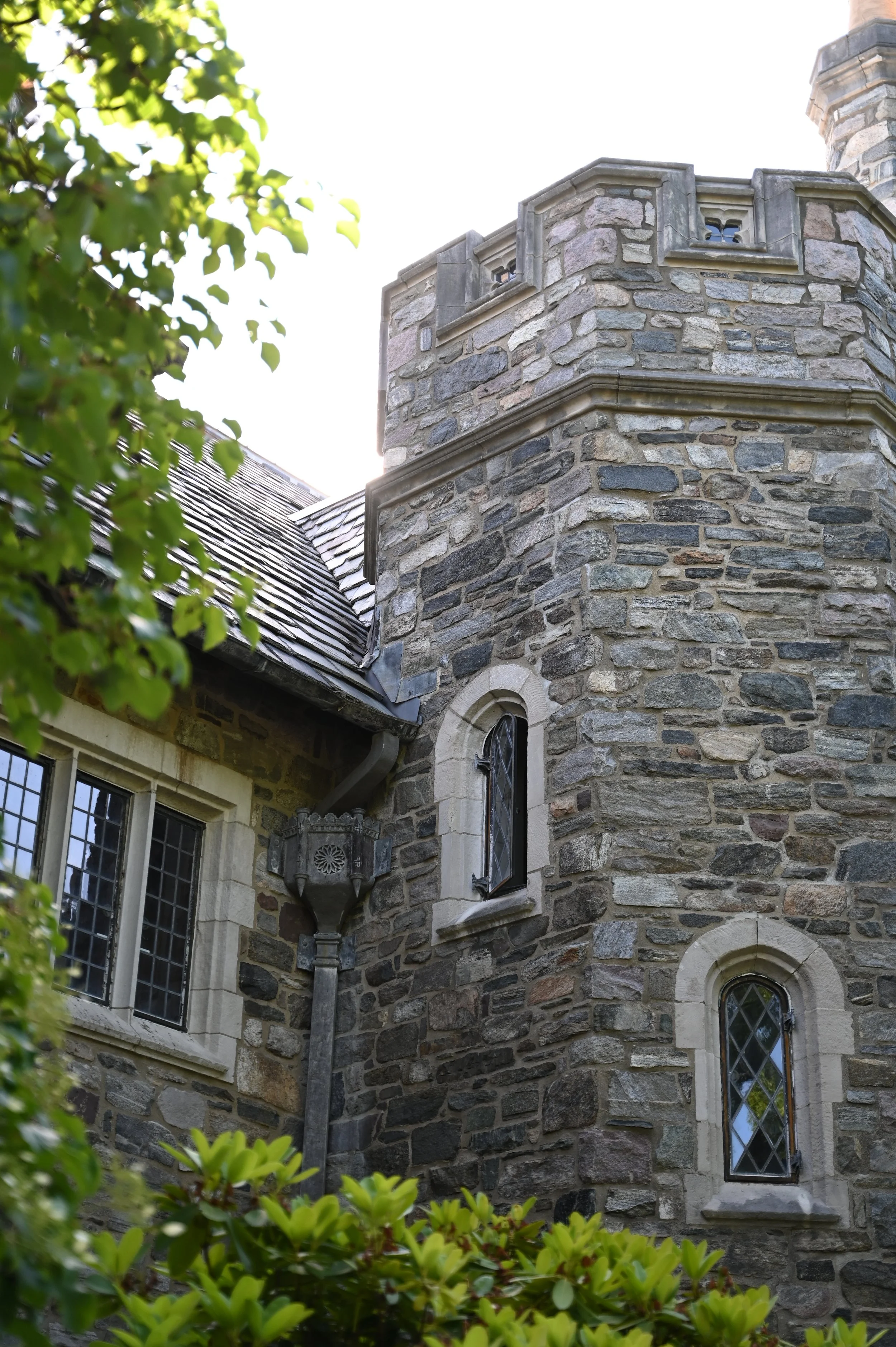 DSC_9945.JPG