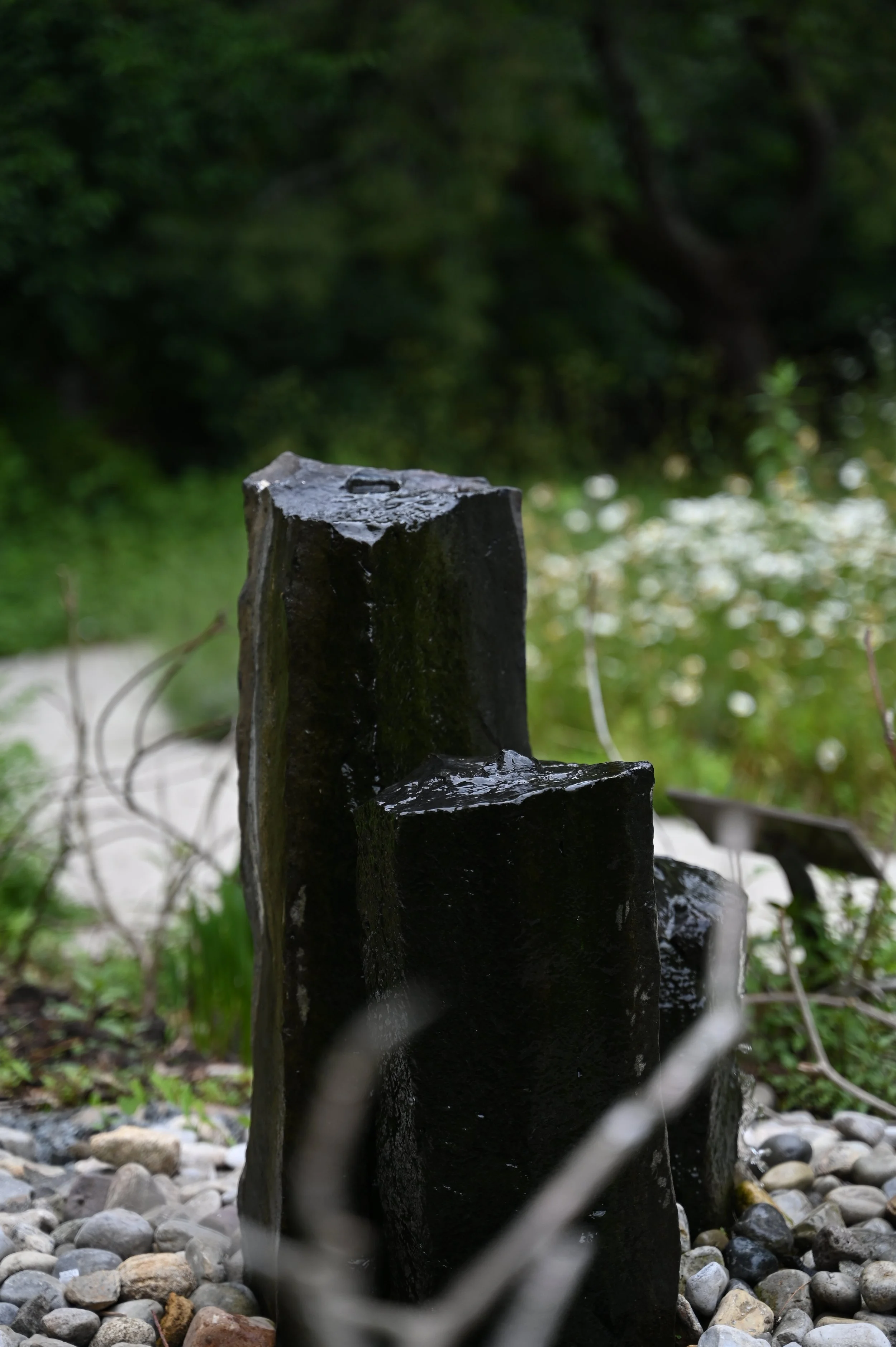 DSC_9964.JPG