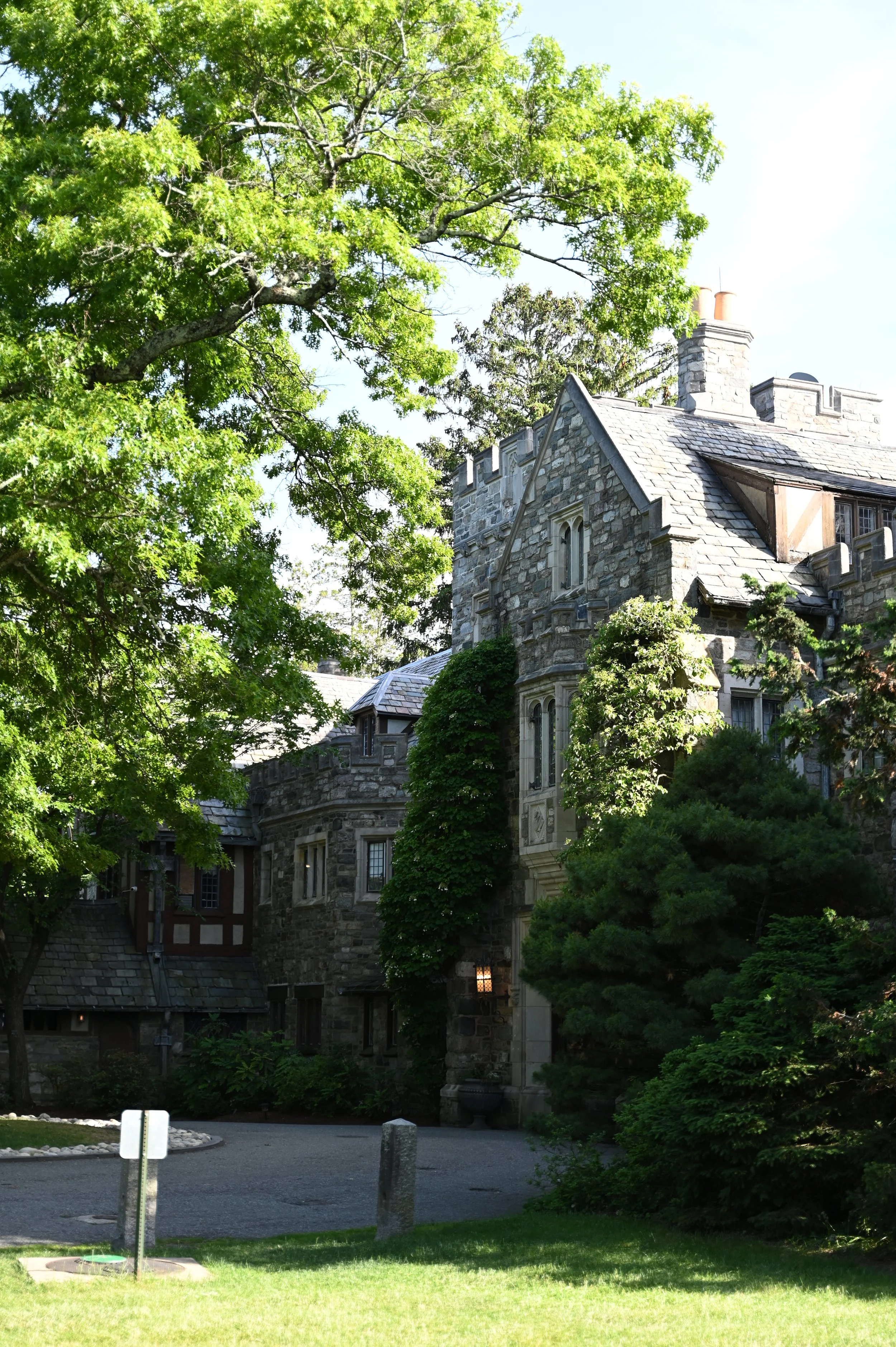 DSC_9946.JPG