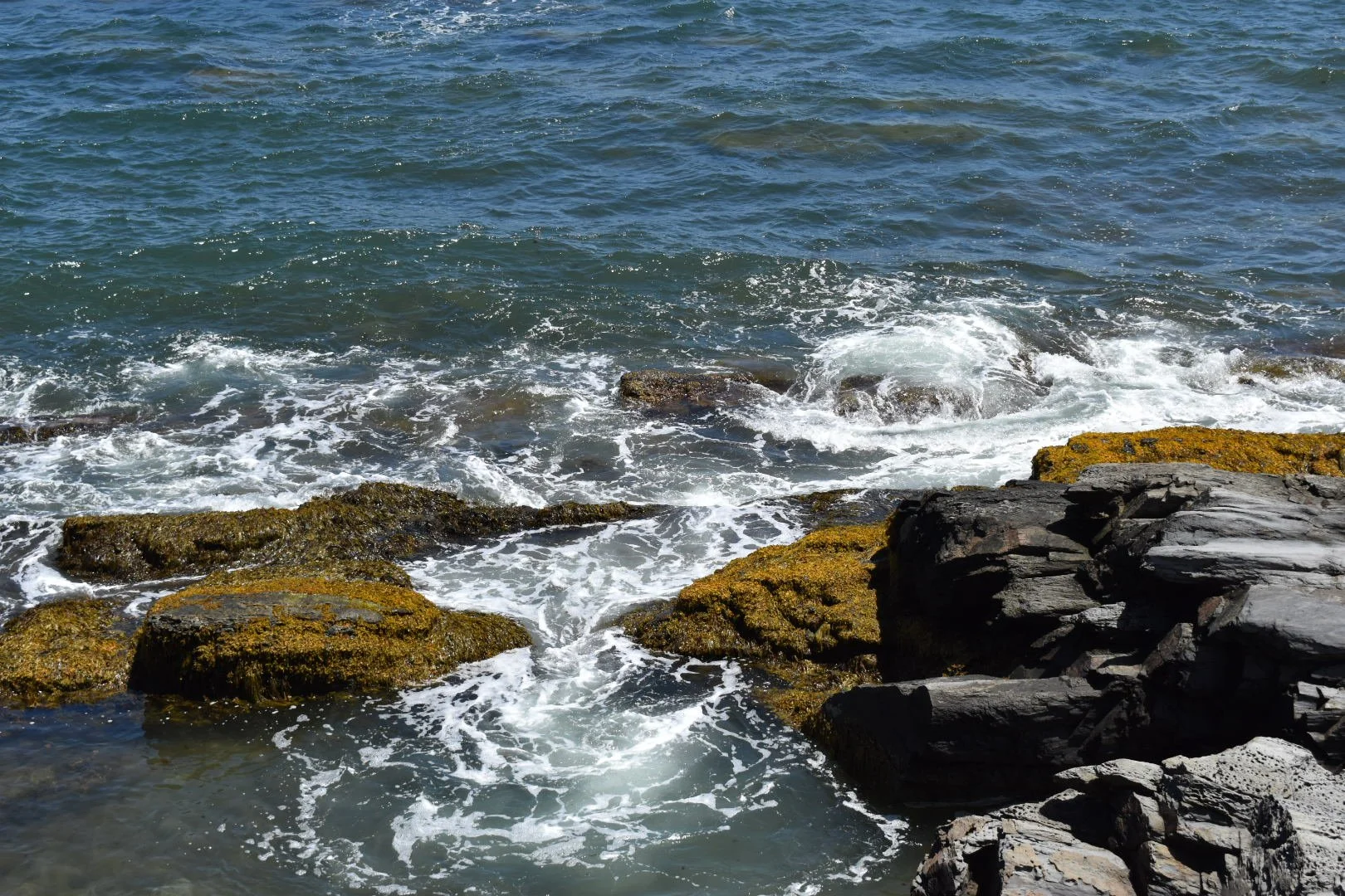 DSC_0797.JPG