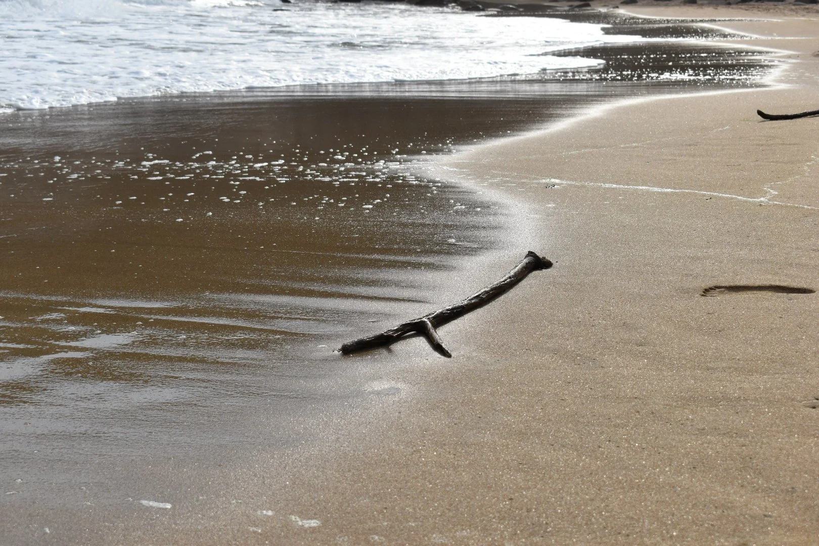 DSC_0263.JPG